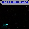 IRAS F18465+6020