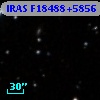 IRAS F18488+5856