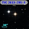 TYC 2613-295-1