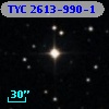 TYC 2613-990-1