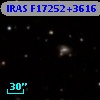 IRAS F17252+3616