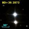 BD+36  2873