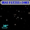 IRAS F17255+3403
