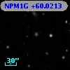 NPM1G +60.0213