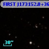 FIRST J173152.0+361926