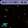 IRAS F17307+3616