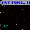 FIRST J173009.1+360049