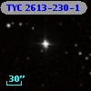 TYC 2613-230-1