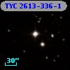 TYC 2613-336-1