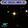 TYC 2613-403-1