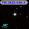 TYC 2613-516-1