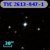 TYC 2613-847-1