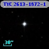 TYC 2613-1872-1