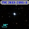 TYC 2613-2181-1