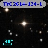 TYC 2614-124-1