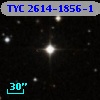 TYC 2614-1856-1