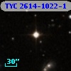 TYC 2614-1022-1