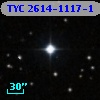 TYC 2614-1117-1