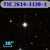 TYC 2614-1130-1