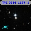 TYC 2614-1167-1