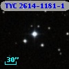 TYC 2614-1181-1