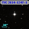 TYC 2614-1247-1