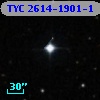 TYC 2614-1901-1