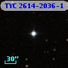 TYC 2614-2036-1