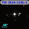 TYC 2614-2116-1