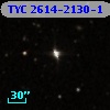 TYC 2614-2130-1
