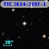 TYC 2614-2197-1