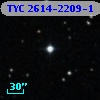 TYC 2614-2209-1