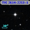TYC 2614-2253-1