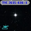 TYC 2615-616-1