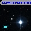 CCDM J17494+3436B