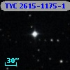 TYC 2615-1175-1