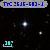 TYC 2616-603-1