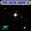 TYC 2629-1047-1