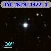 TYC 2629-1377-1