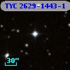 TYC 2629-1443-1