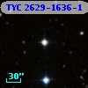 TYC 2629-1636-1