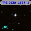 TYC 2629-1667-1