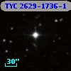 TYC 2629-1736-1