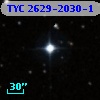 TYC 2629-2030-1