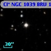Cl* NGC 1039    BRU     186