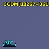 BD+36  3130B