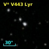 V* V443 Lyr