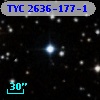 TYC 2636-177-1