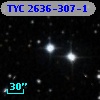 TYC 2636-307-1