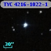 TYC 4216-1022-1